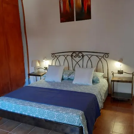 Apartment Domus Petrarca