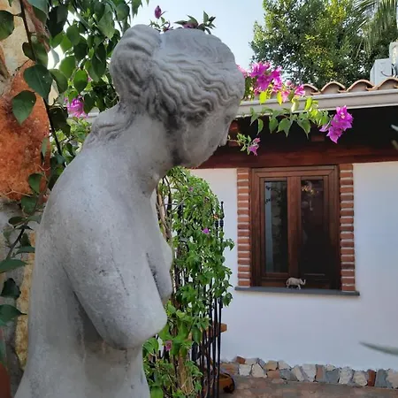 Domus Petrarca *